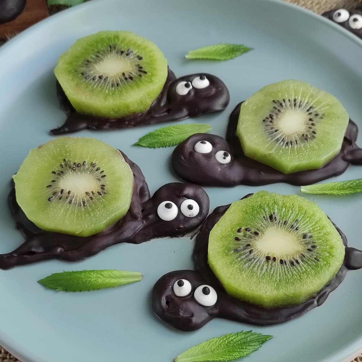 kiwi turtles featured image