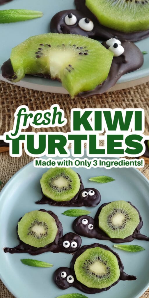kiwi turtles