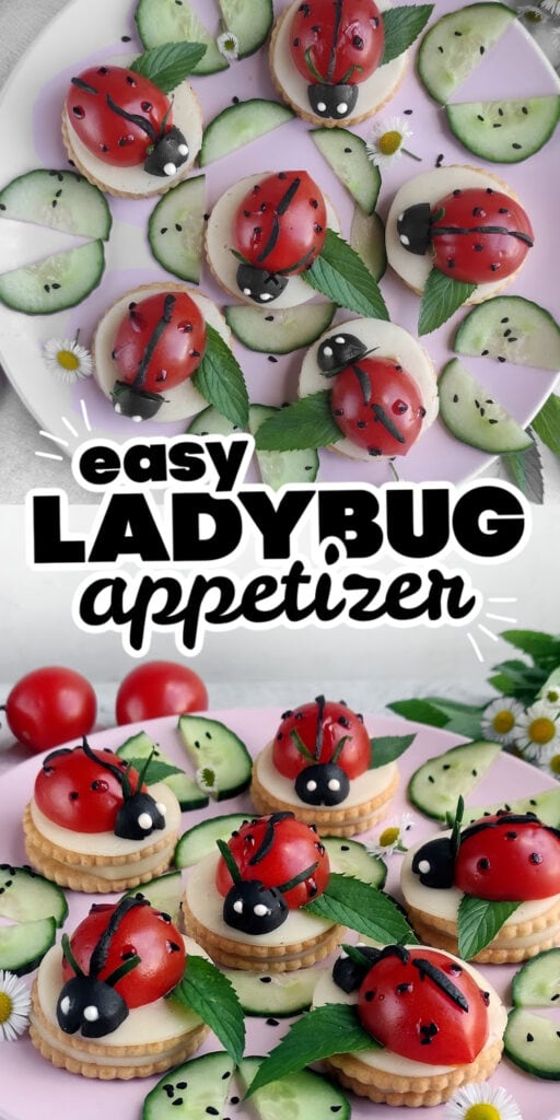 ladybug appetizer pin image