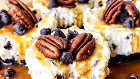 mini turtle cheesecakes featured image