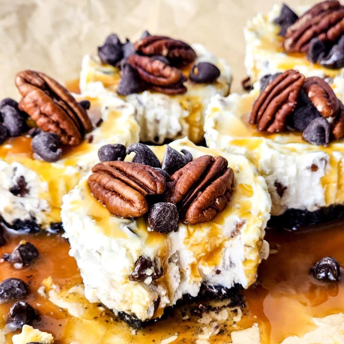 mini turtle cheesecakes featured image