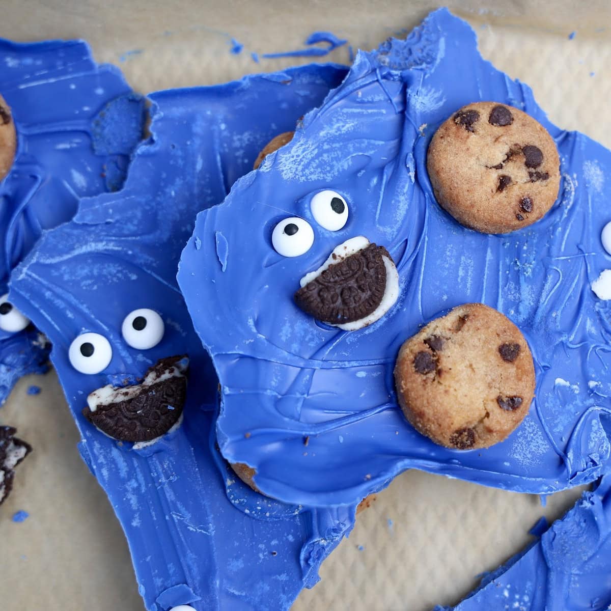 cookie monster bark featured image