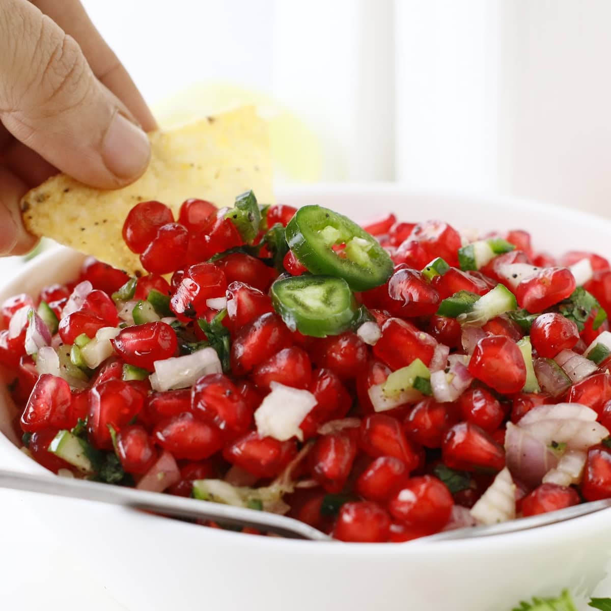 pomegranate salsa featured image