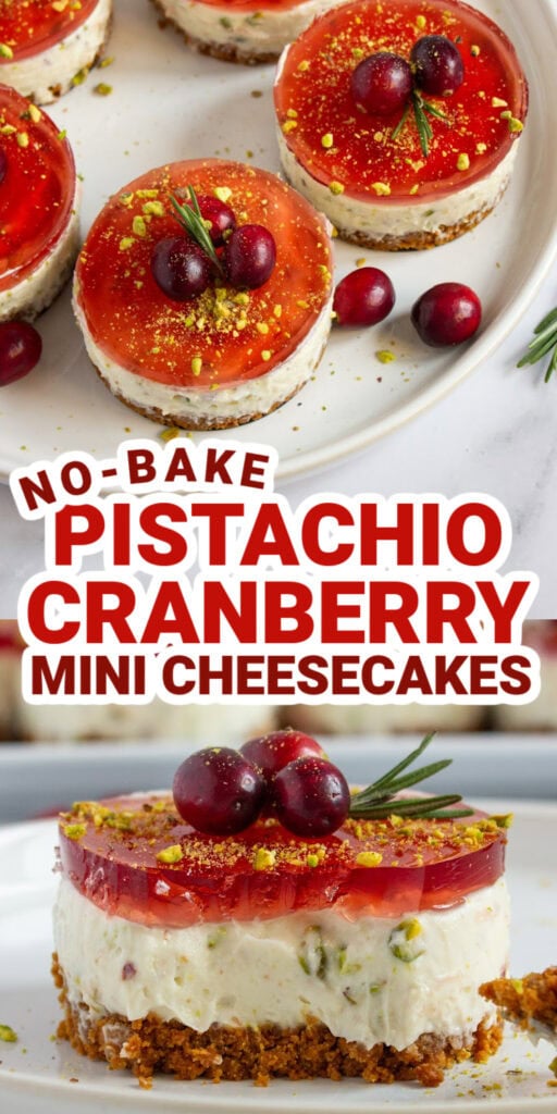 pistachio cranberry pin image