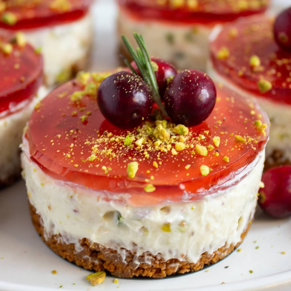 pistachio cranberry featured image