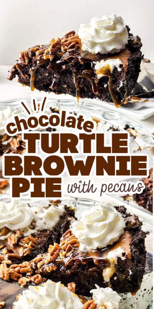 turtle brownie pie pin image