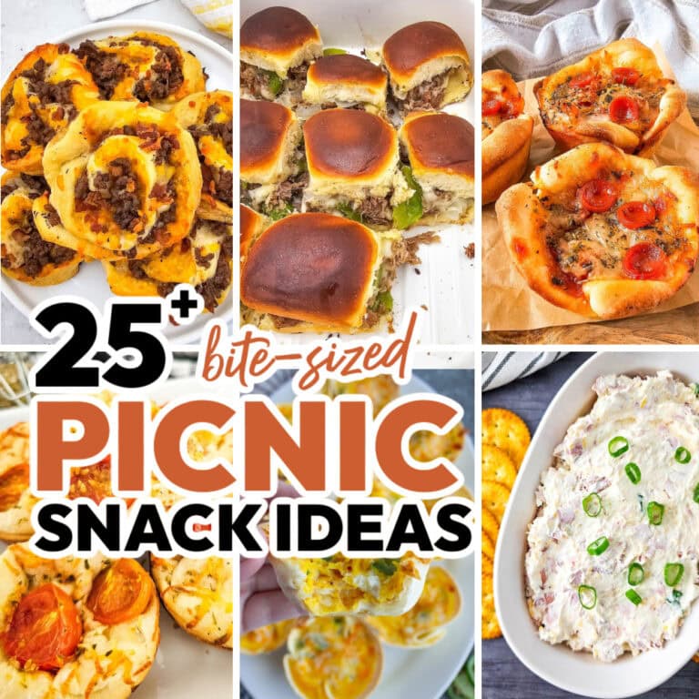 25+ Picnic Snack Ideas for the Best Outdoor Fun - Bite-Sized Bash