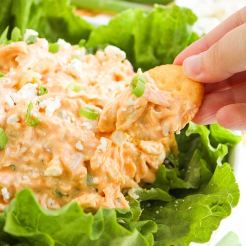 buffalo chicken salad final recipe photo