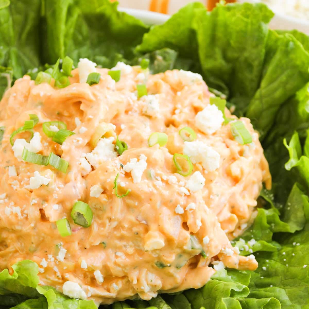 buffalo chicken salad