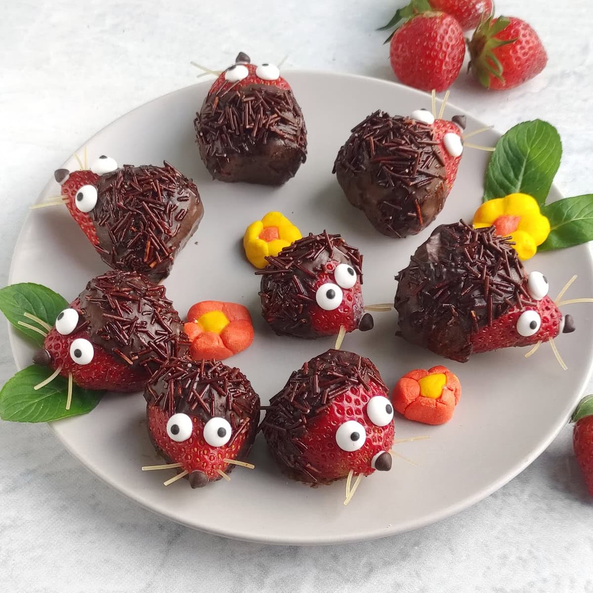 Strawberry Forest Hedgehogs