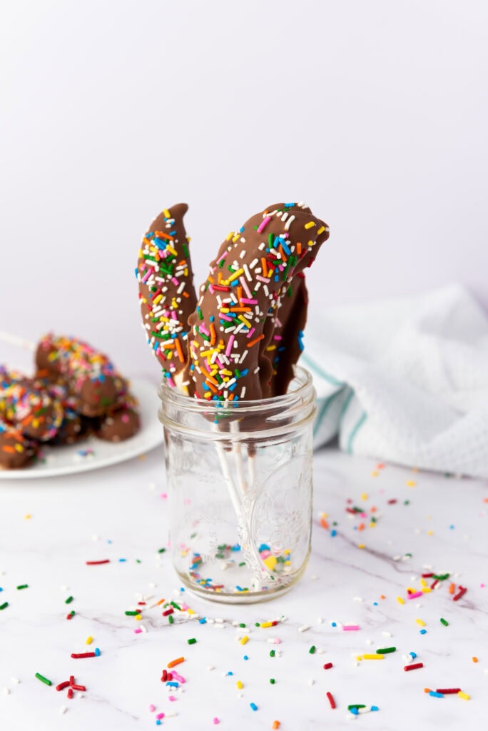 Photo of the Finished Chocolate Banana Pops