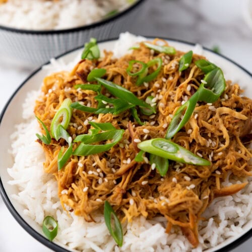 Photo of the Finished Crockpot Honey Soy Garlic Chicken