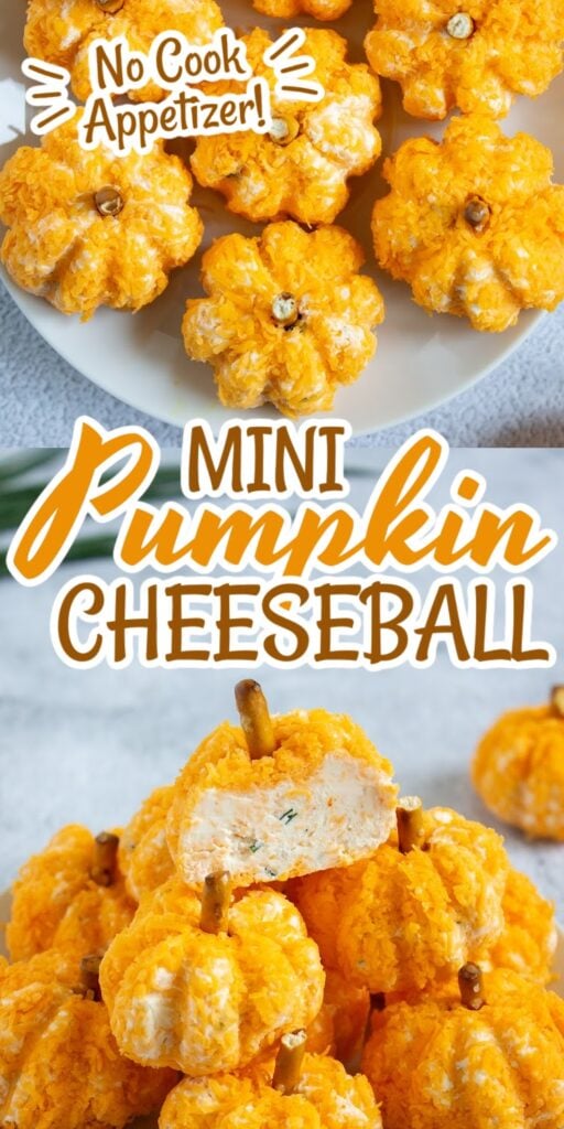 Mini Pumpkin Shaped Cheeseball pin image