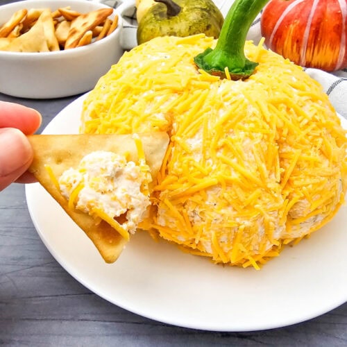 Pumpkin Cheeseball Process Photo