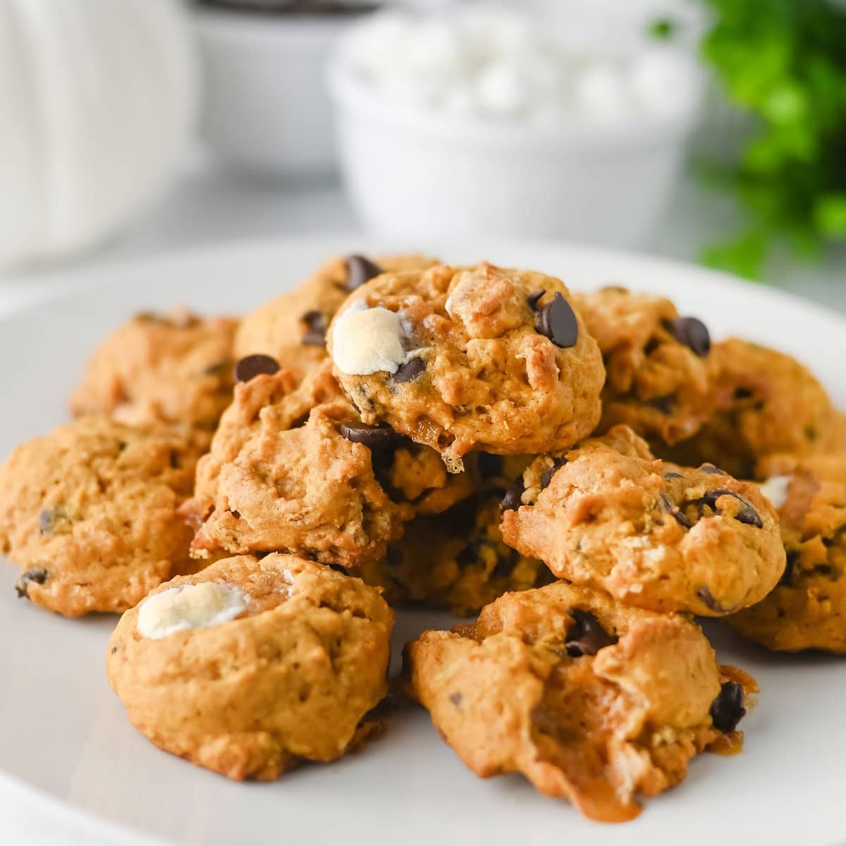 Pumpkin S'mores Cookies Featured Image