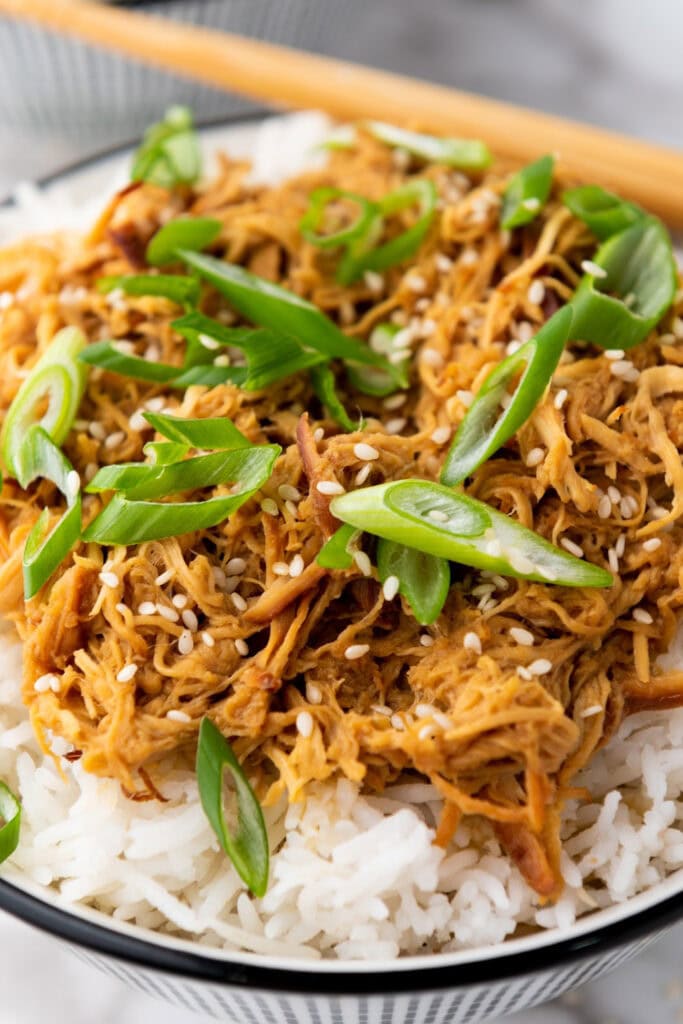 crockpot dinner ideas - Crockpot Soy Honey Garlic Chicken