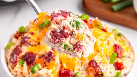slow cooker crack chicken featured image