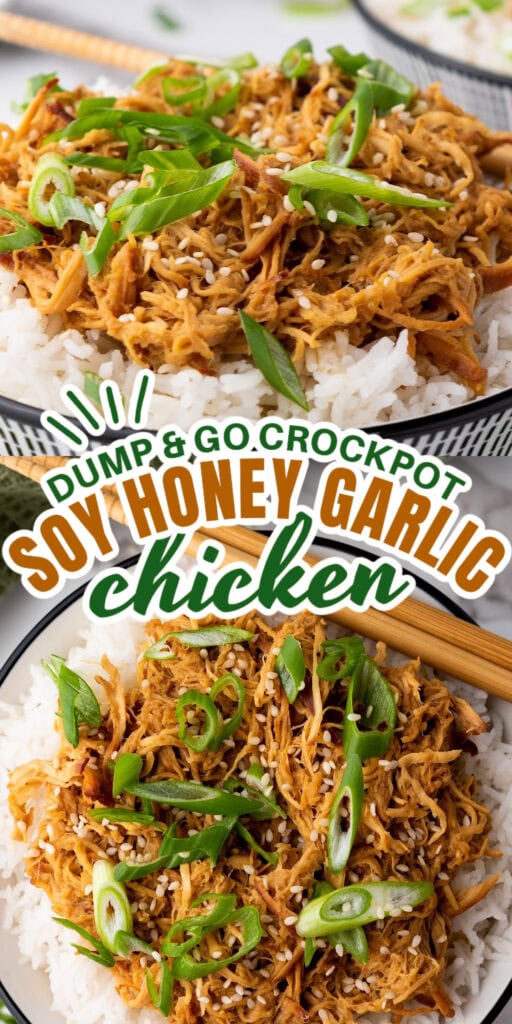 soy honey garlic pin image