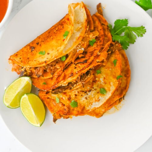 photo of the finished crockpot birria tacos