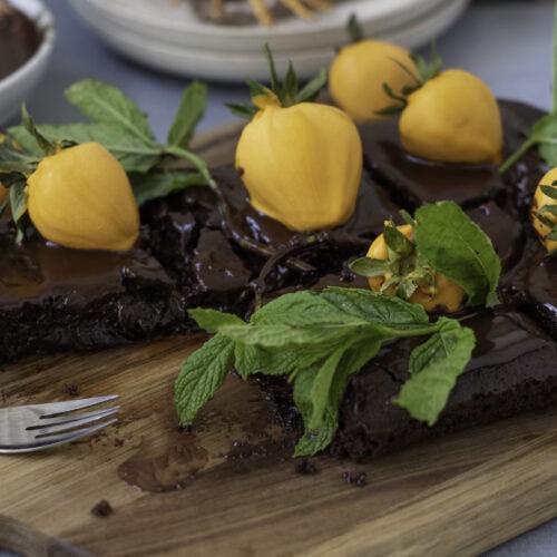 Strawberry Pumpkin Patch Brownie Cake