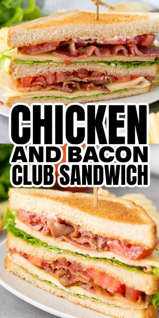 chicken club sandwich