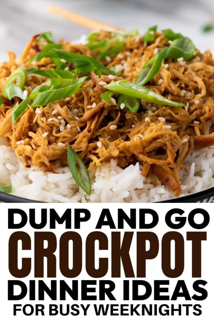 crockpot dinner ideas - Crockpot Soy Honey Garlic Chicken