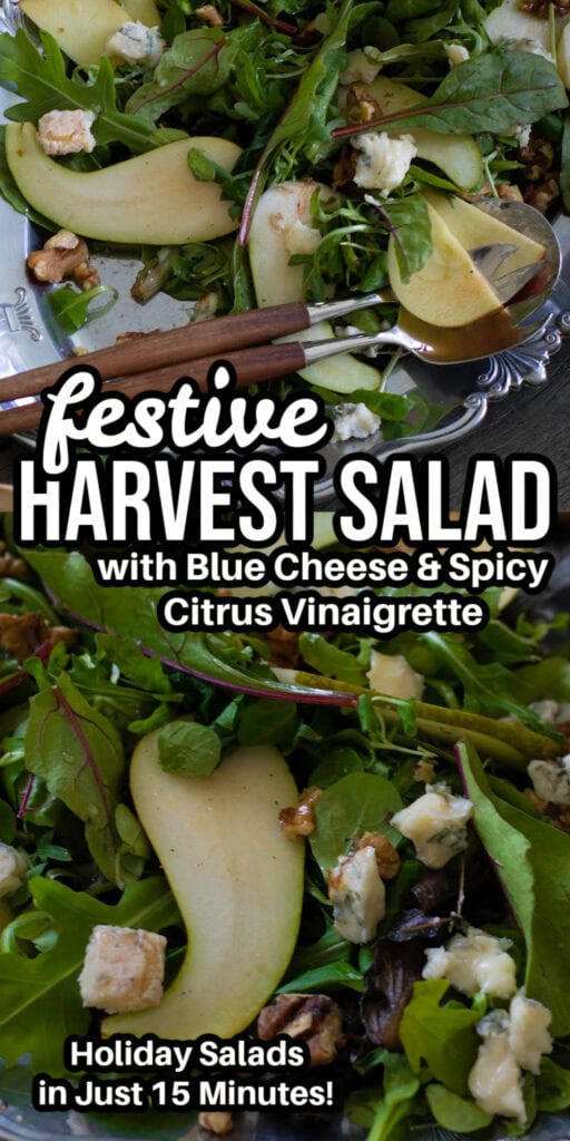 festive harvest salad pin image