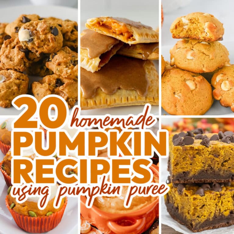 pumpkin recipes using pumpkin puree