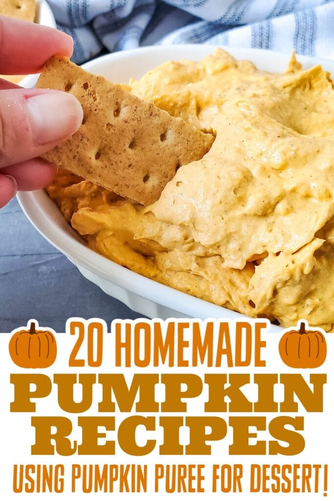 pumpkin recipes using pumpkin puree - Pumpkin Dip