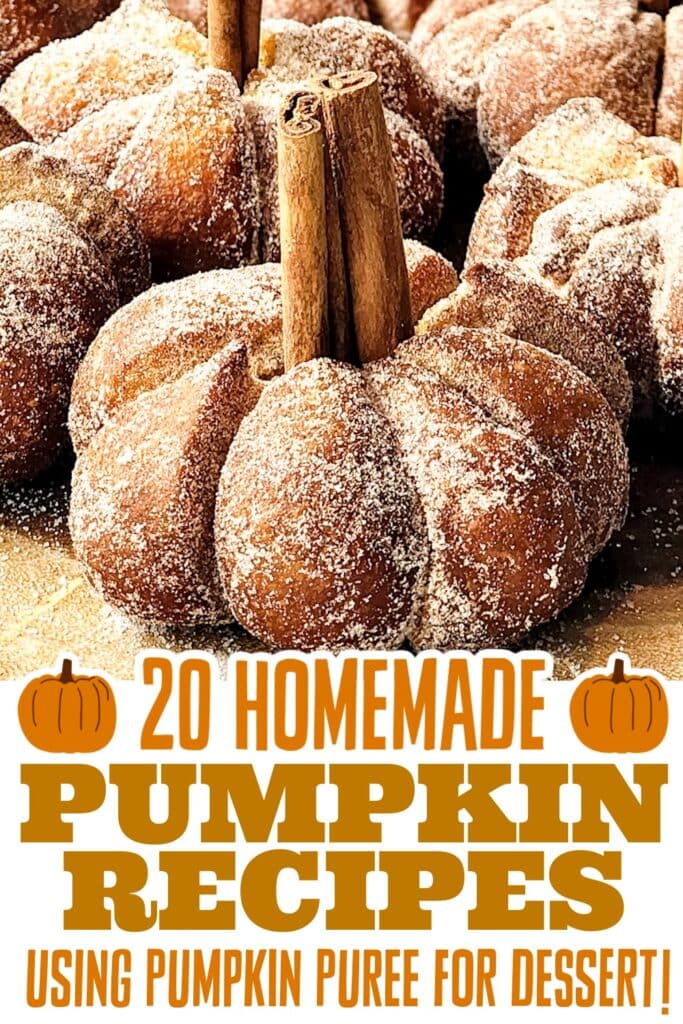 pumpkin recipes using pumpkin puree - Pumpkin Donuts