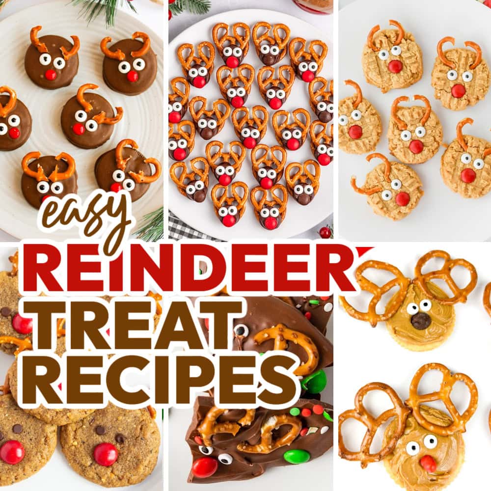 reindeer themed treats featured image