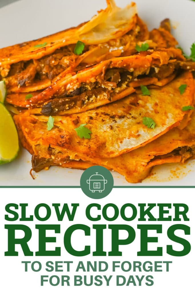slow cooker recipes - Crockpot Birria Tacos