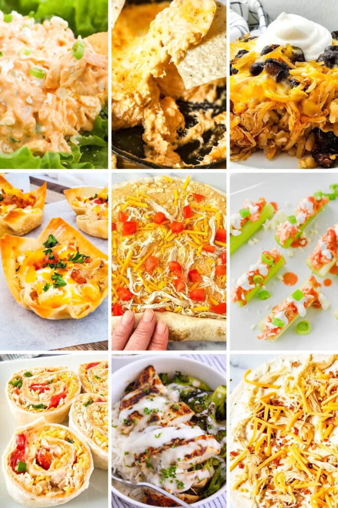leftover chicken recipes