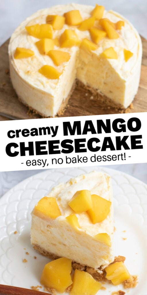 mango cheesecake