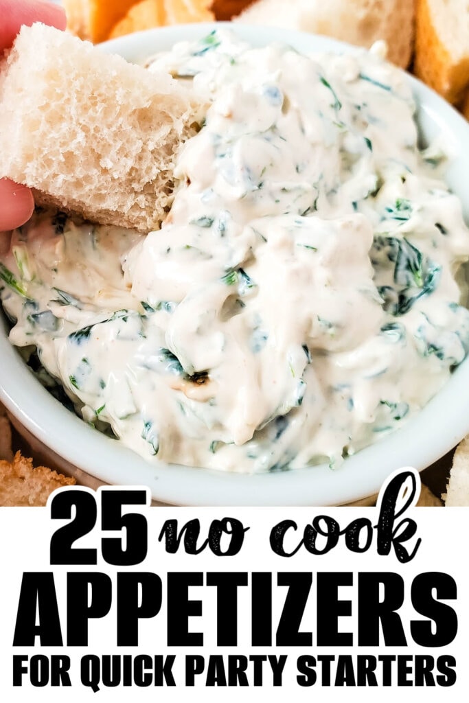 no cook appetizer - Creamy Spinach Dip