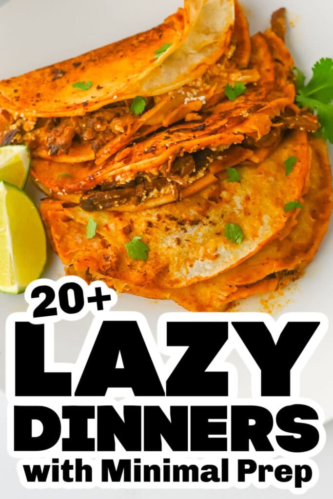 lazy dinners - Crockpot Birria Tacos