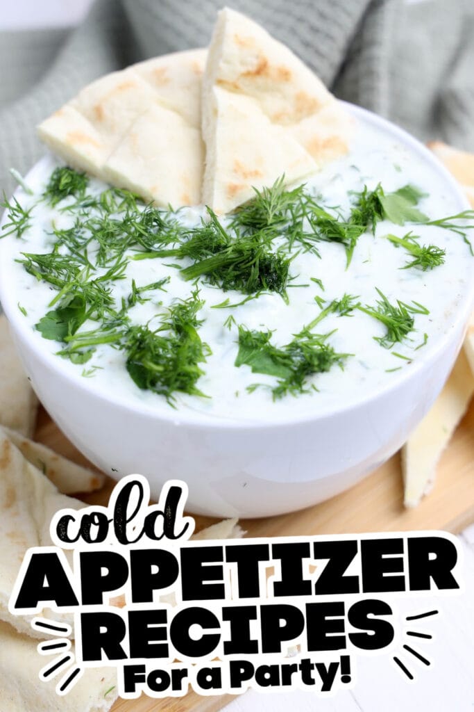 cold appetizer - Tzatziki Dip