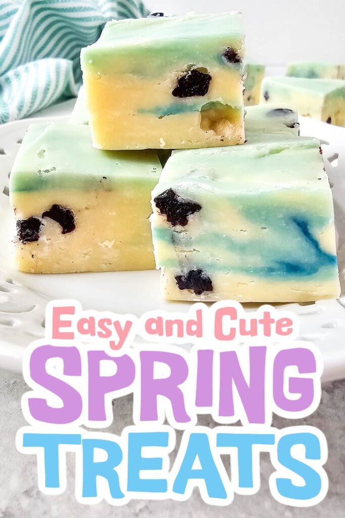 spring treats - Blueberry Fudge