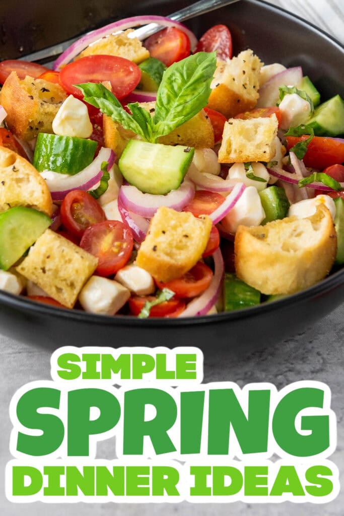 spring dinner - Classic Panzanella with Mozzarella