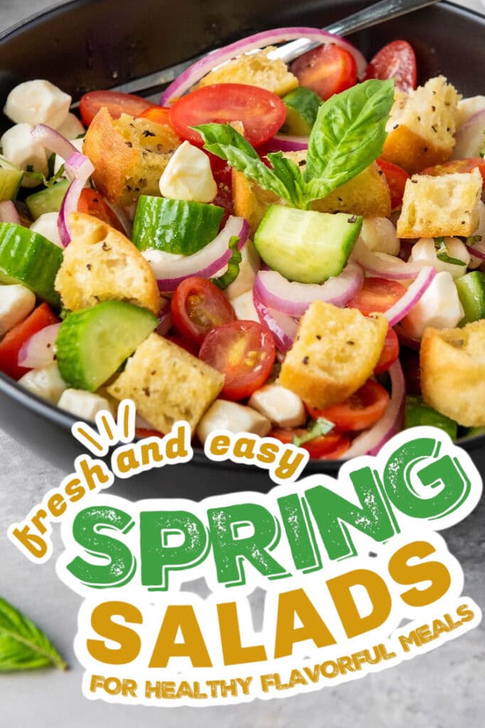 spring salads - Classic Panzanella with Mozzarella