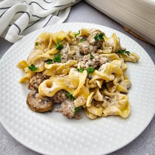 Beef Stroganoff Casserole Process Photo
