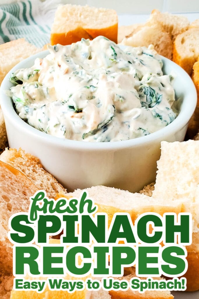 fresh spinach recipes - Creamy Spinach Dip