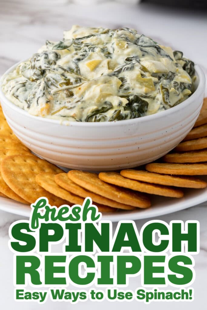 fresh spinach recipes - Slow Cooker Spinach Artichoke Dip