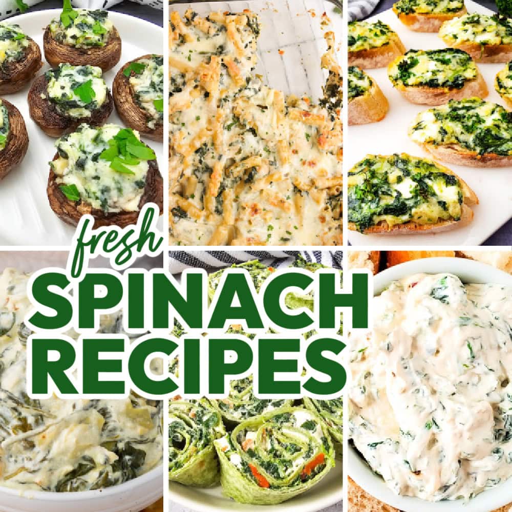 spinach recipes featured image