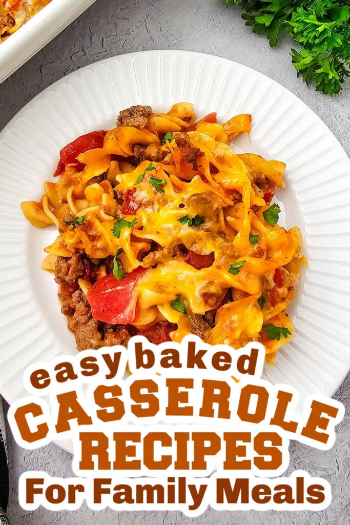 Casserole Recipes-Beef Noodle Casserole