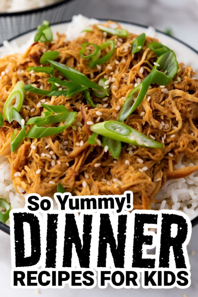 dinner recipes for kids - Crockpot Soy Honey Garlic Chicken
