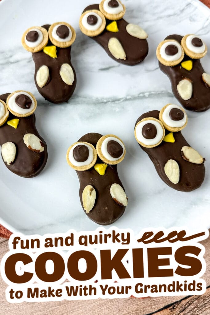 fun cookies for grandkids - nutter butter owl cookies