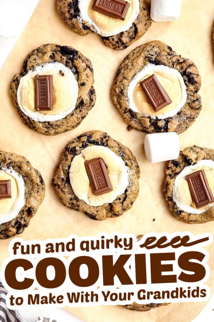 fun cookies for grandkids - oreo s'mores cookies
