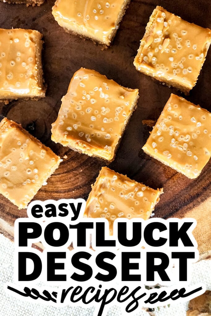 potluck dessert recipes - Mini Dulce de Leche Cheesecake Squares