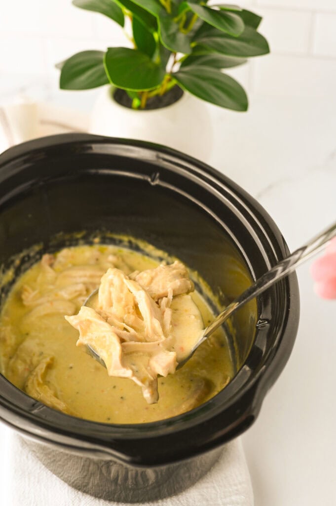 Crockpot Angel Chicken Process Photo